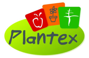 214432959_2378093075656226_3166996976366686905_n